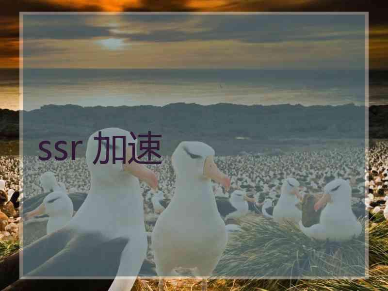 ssr 加速